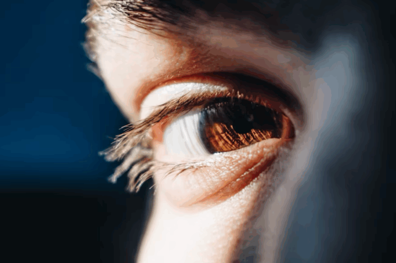 Close-up of a human eye with a brown iris, reflecting light and showing detailed eyelashes.