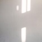 Soft shadows cast on a light-colored wall, creating abstract shapes from natural light.