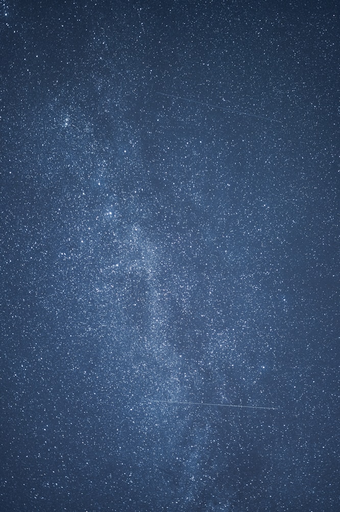 A dark blue sky filled with numerous bright stars, creating a dense, sparkling effect across the entire image.