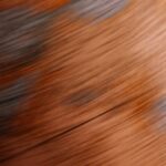 Abstract swirls of warm orange and muted blue tones, creating a dynamic, blurred texture.