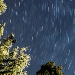 Star trails spiral in the night sky above tall evergreen trees, creating a dynamic contrast between the dark sky and the greenery.