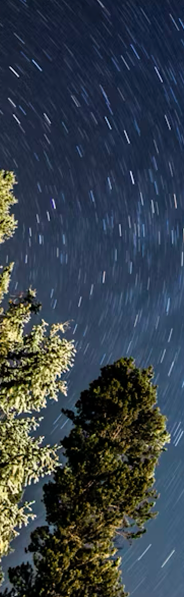 Star trails spiral in the night sky above tall evergreen trees, creating a dynamic contrast between the dark sky and the greenery.